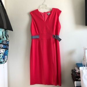 Shelby & Palmer dress